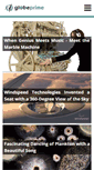 Mobile Screenshot of globeprime.com